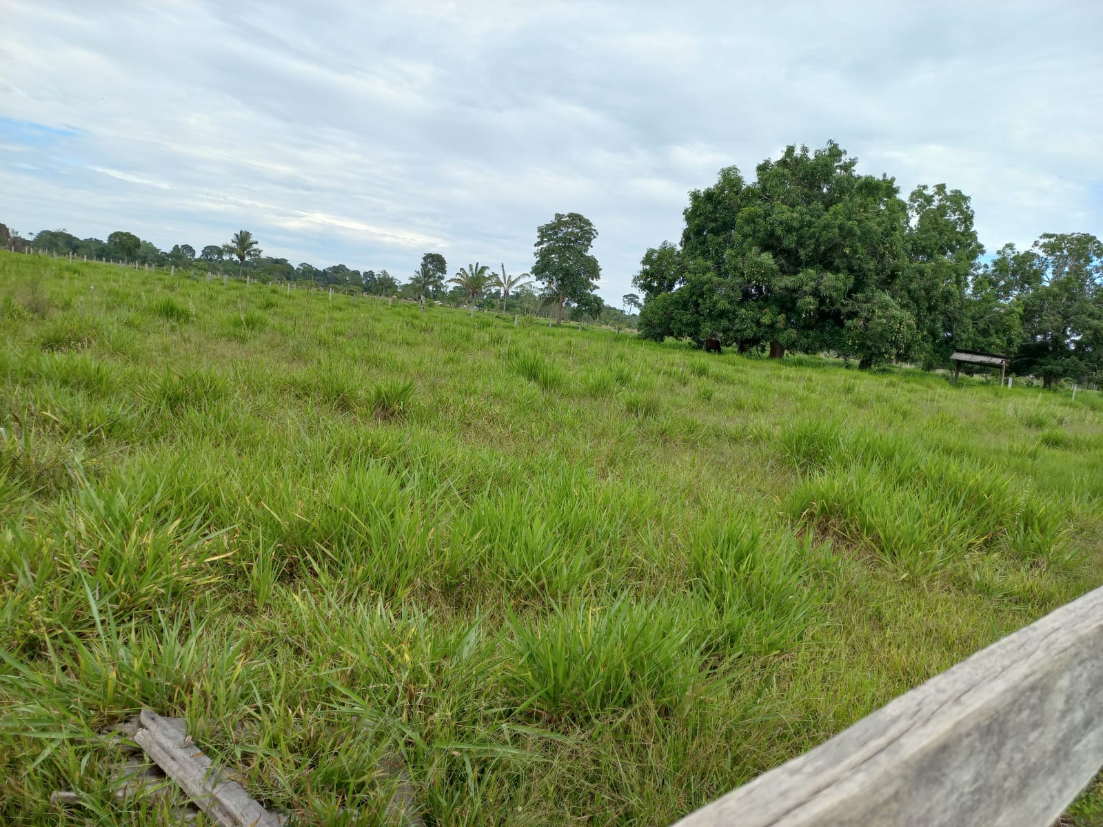 WhatsApp Image 2026-02-17 at 16.32.13