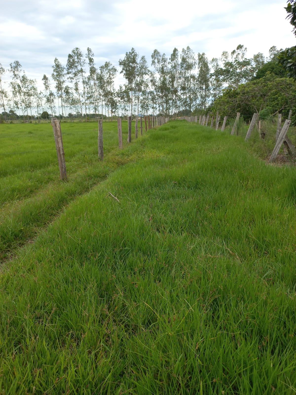 WhatsApp Image 2026-02-17 at 16.32.14 (2)