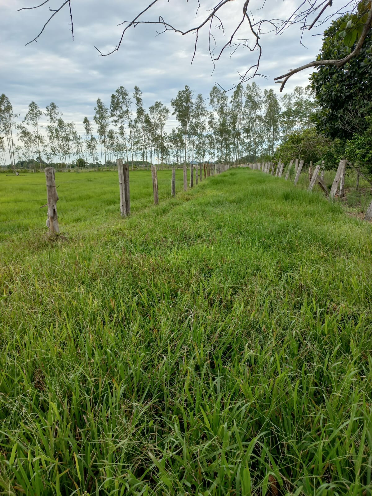 WhatsApp Image 2026-02-17 at 16.32.14 (3)