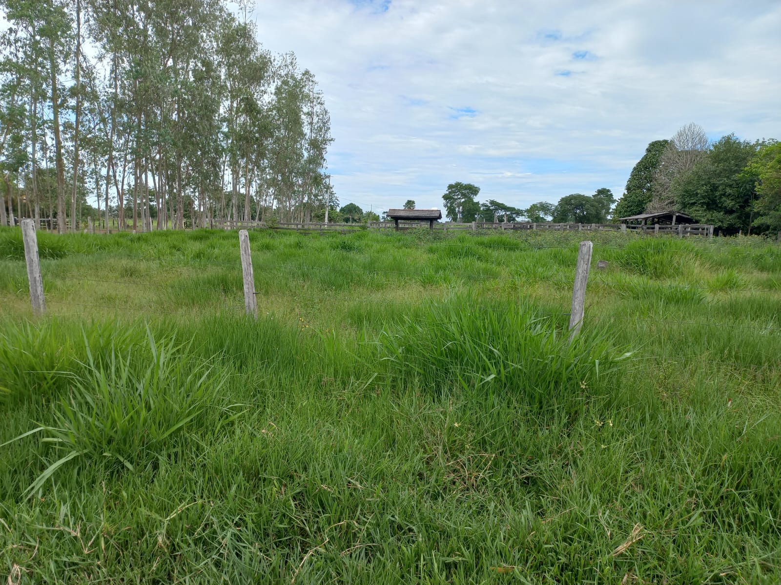 WhatsApp Image 2026-02-17 at 16.32.14 (4)