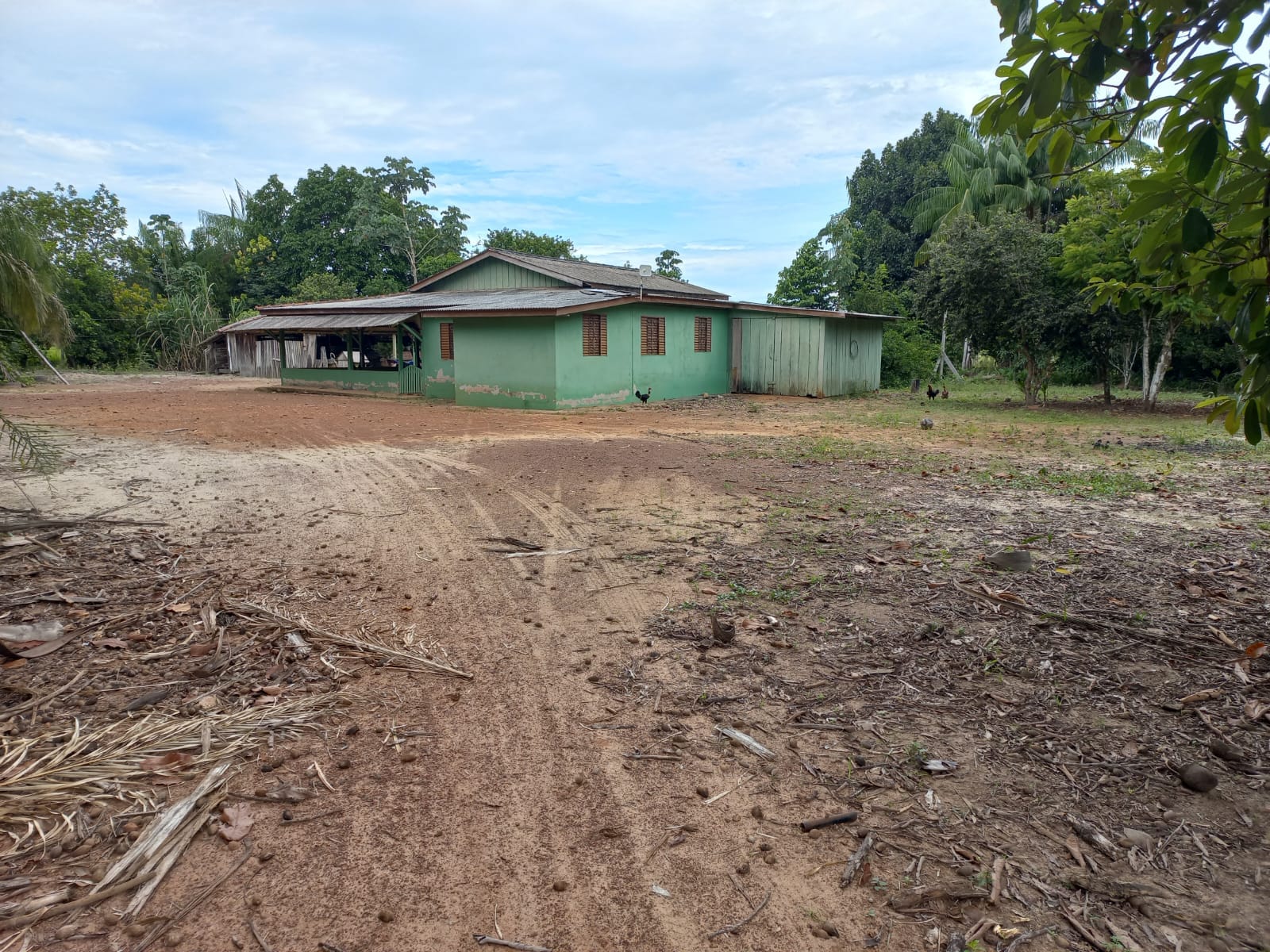 WhatsApp Image 2026-02-17 at 16.32.14