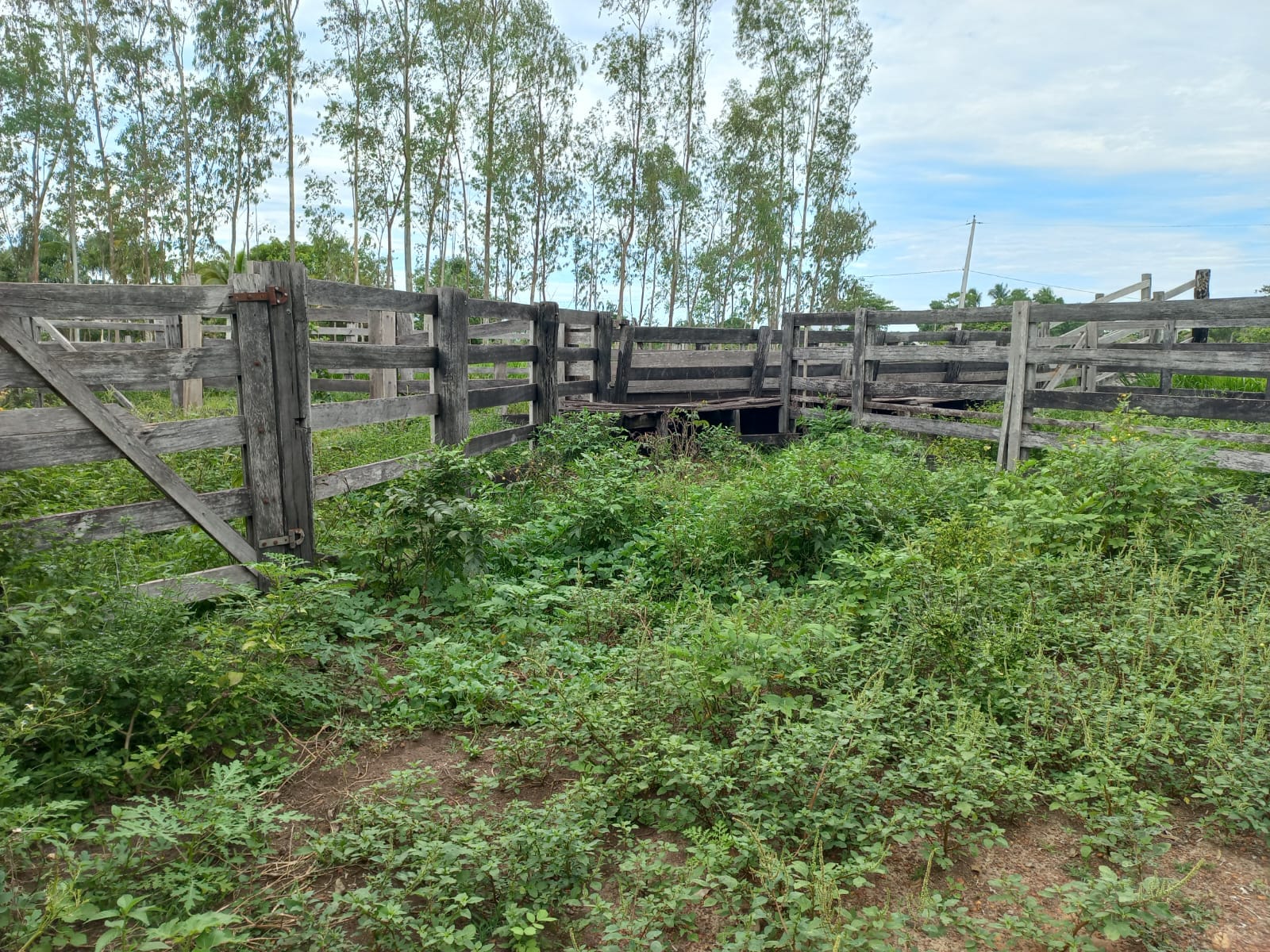 WhatsApp Image 2026-02-17 at 16.32.15 (1)