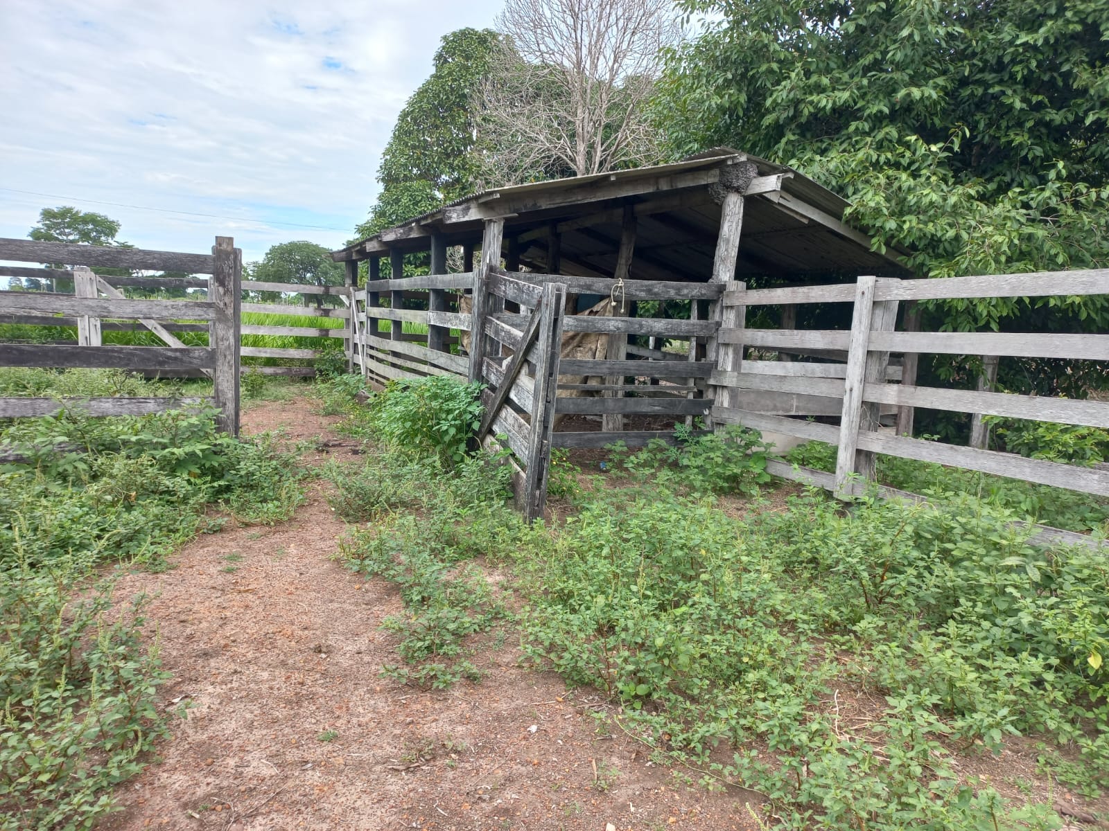 WhatsApp Image 2026-02-17 at 16.32.15 (2)