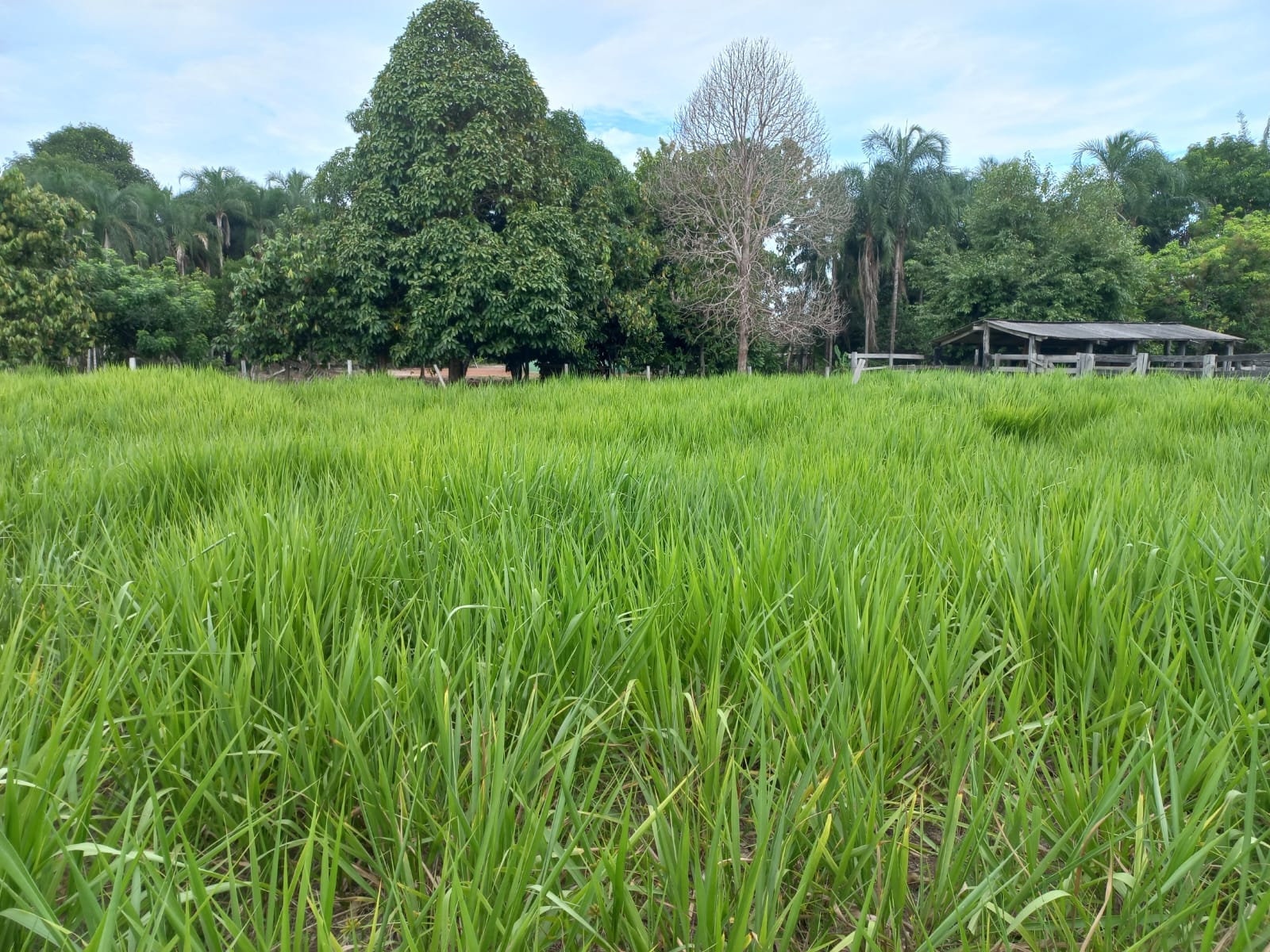 WhatsApp Image 2026-02-17 at 16.32.15 (3)