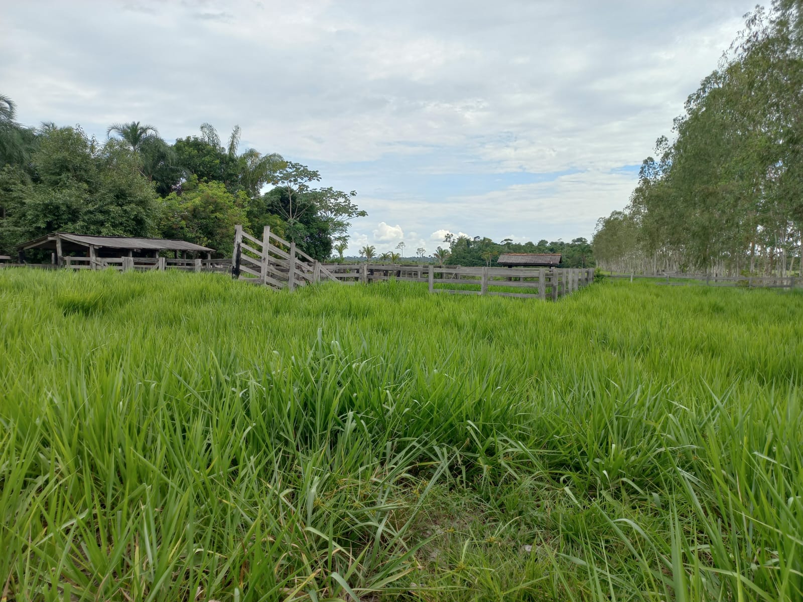 WhatsApp Image 2026-02-17 at 16.32.15 (4)