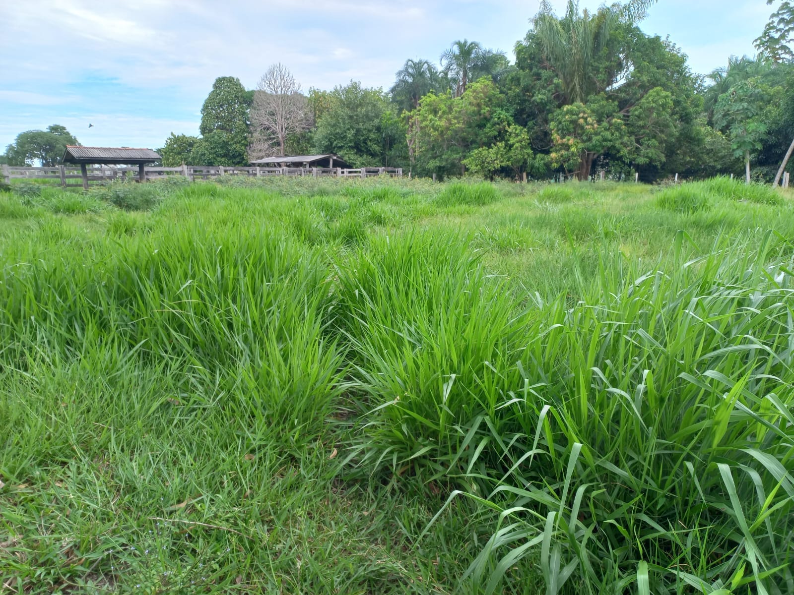 WhatsApp Image 2026-02-17 at 16.32.15