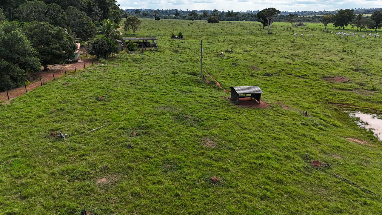 WhatsApp Image 2026-02-17 at 16.39.00 (1)