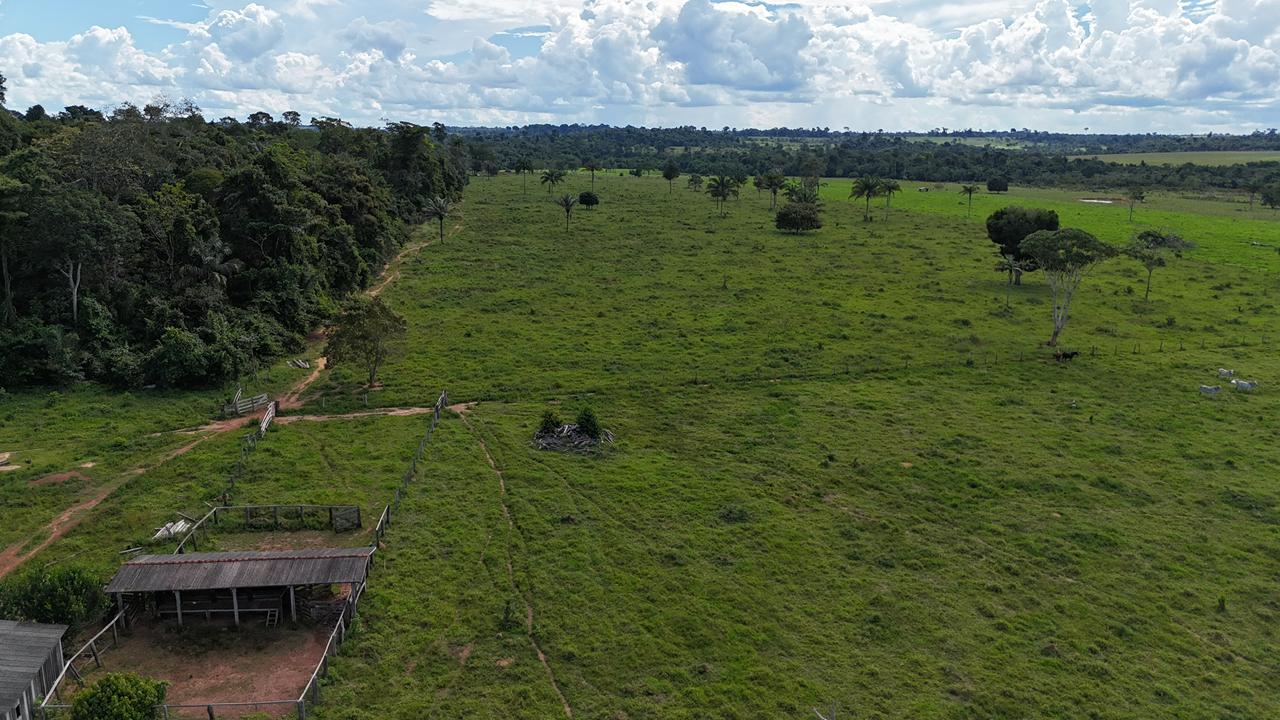 WhatsApp Image 2026-02-17 at 16.39.00