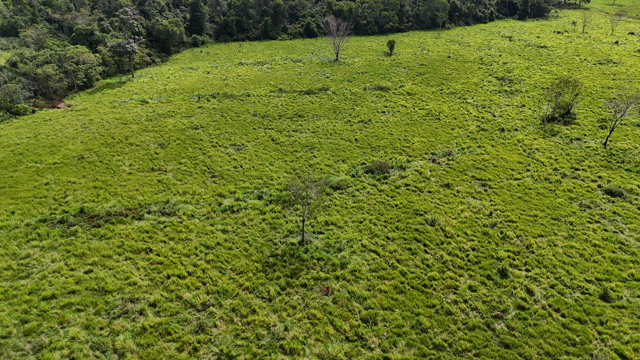 WhatsApp Image 2026-02-17 at 16.39.01 (2)