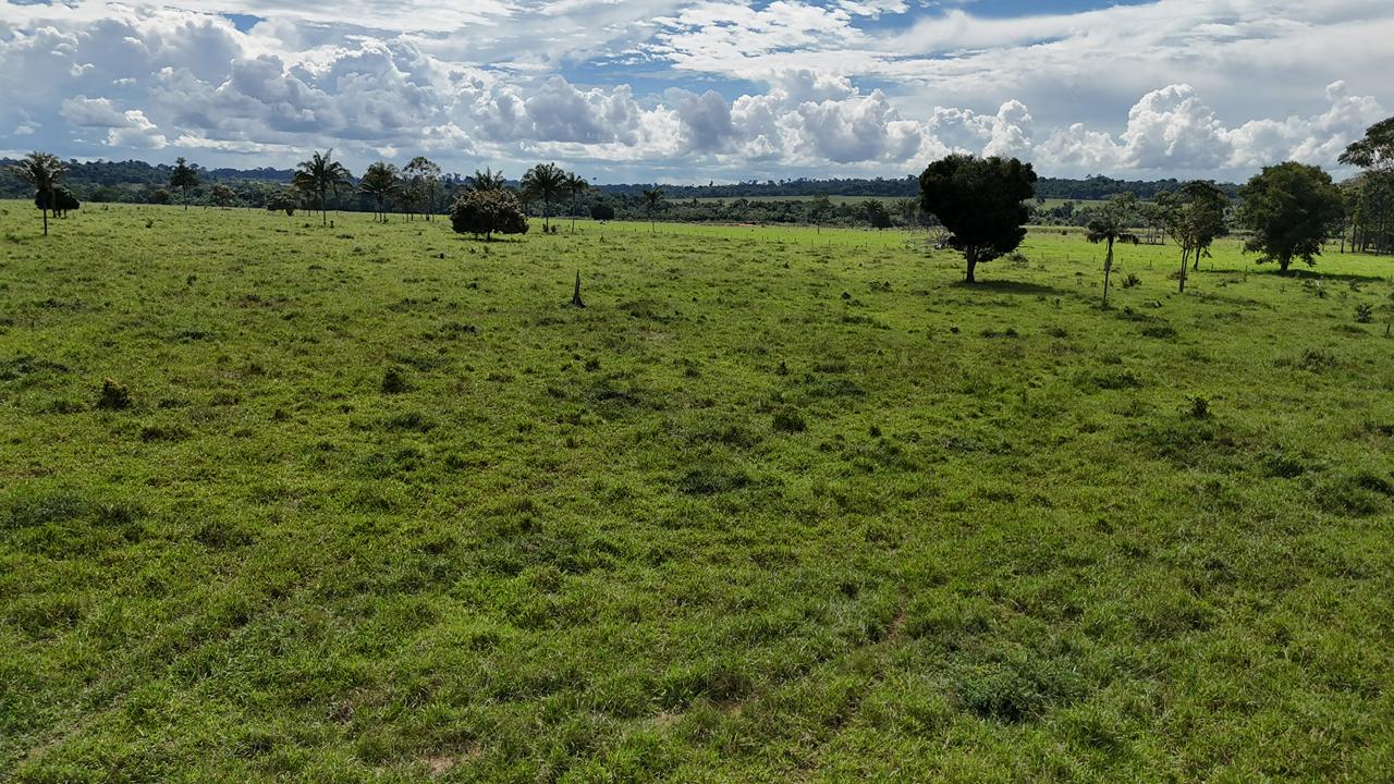 WhatsApp Image 2026-02-17 at 16.39.01