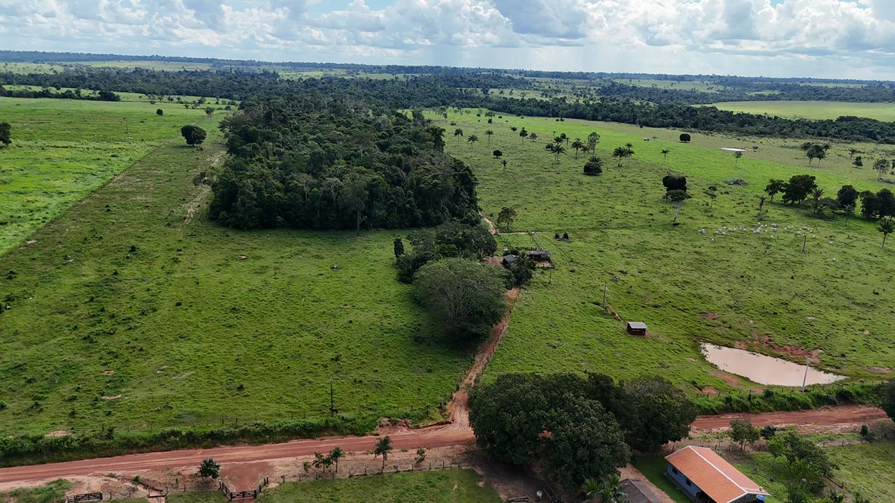 WhatsApp Image 2026-02-17 at 16.39.02 (1)