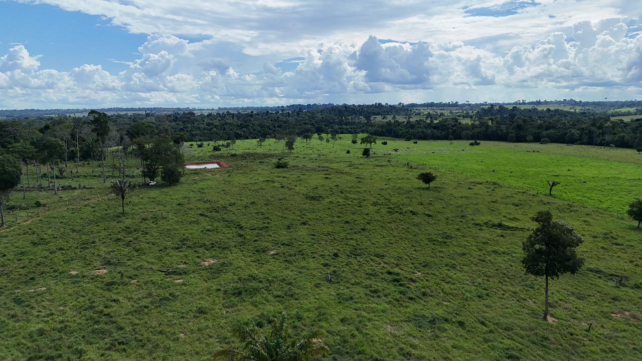 WhatsApp Image 2026-02-17 at 16.39.02 (2)