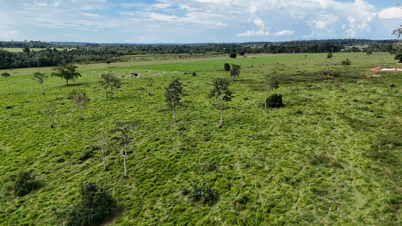 WhatsApp Image 2026-02-17 at 16.39.02 (3)