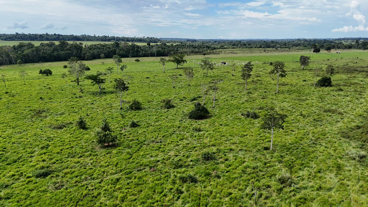 WhatsApp Image 2026-02-17 at 16.39.02 (4)