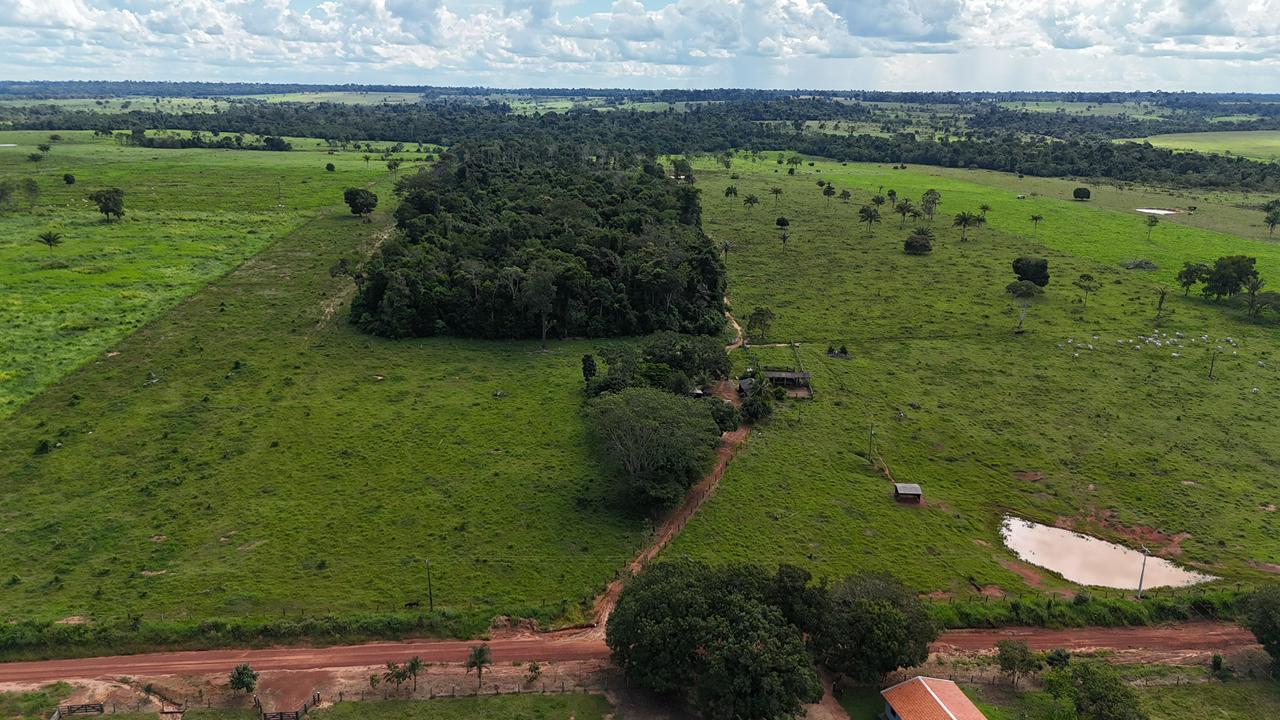 WhatsApp Image 2026-02-17 at 16.39.02 (5)