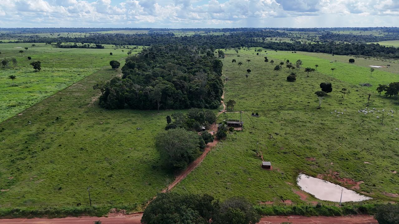 WhatsApp Image 2026-02-17 at 16.39.02