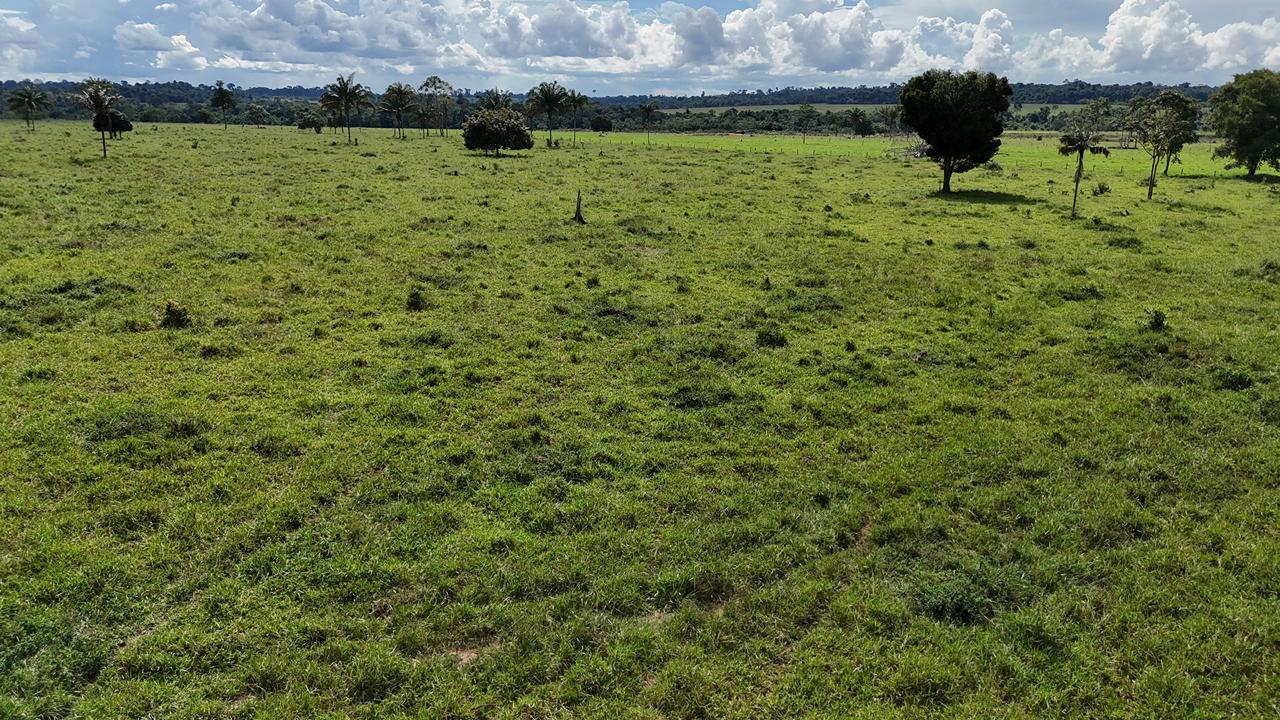 WhatsApp Image 2026-02-17 at 16.39.03 (1)