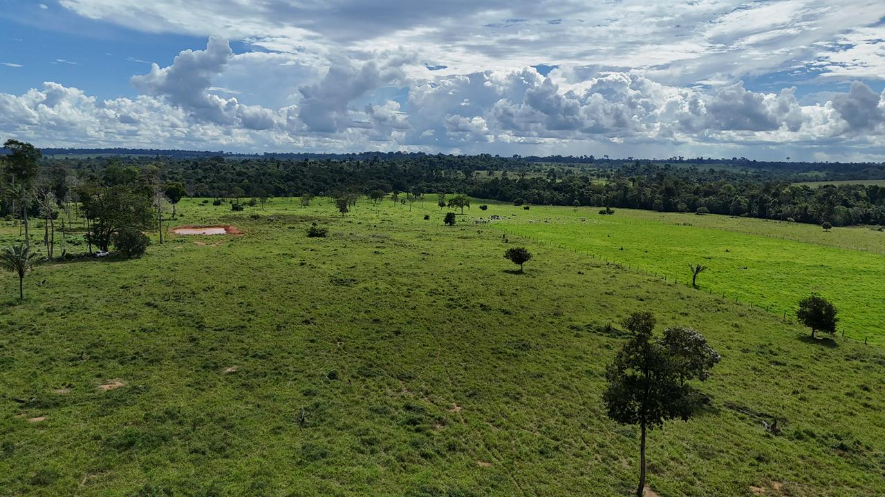 WhatsApp Image 2026-02-17 at 16.39.03 (3)