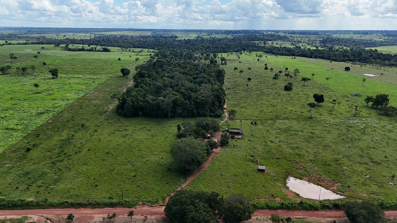 WhatsApp Image 2026-02-17 at 16.39.03 (4)