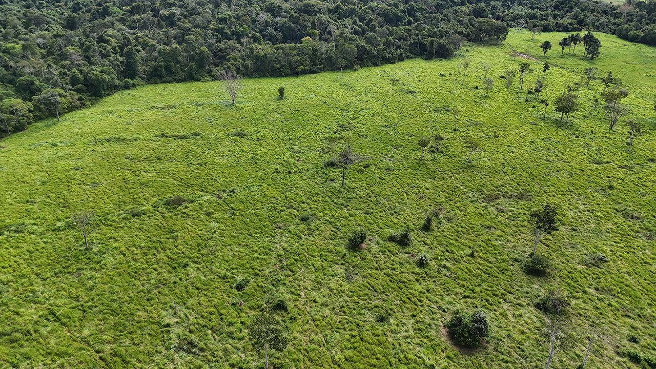 WhatsApp Image 2026-02-17 at 16.39.04 (1)