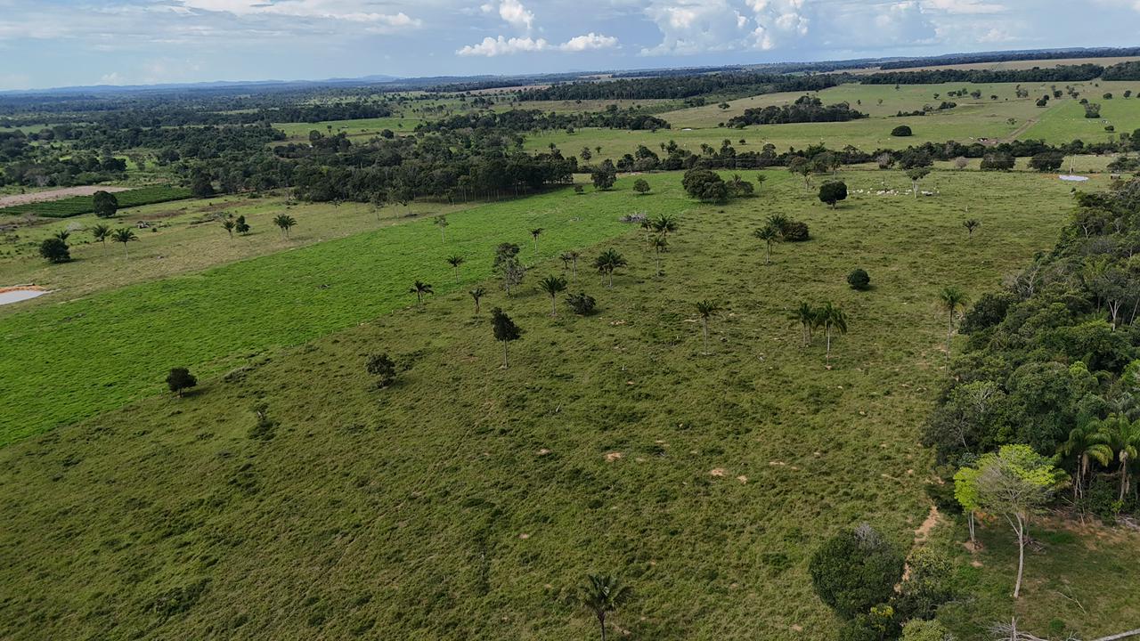 WhatsApp Image 2026-02-17 at 16.39.04 (2)