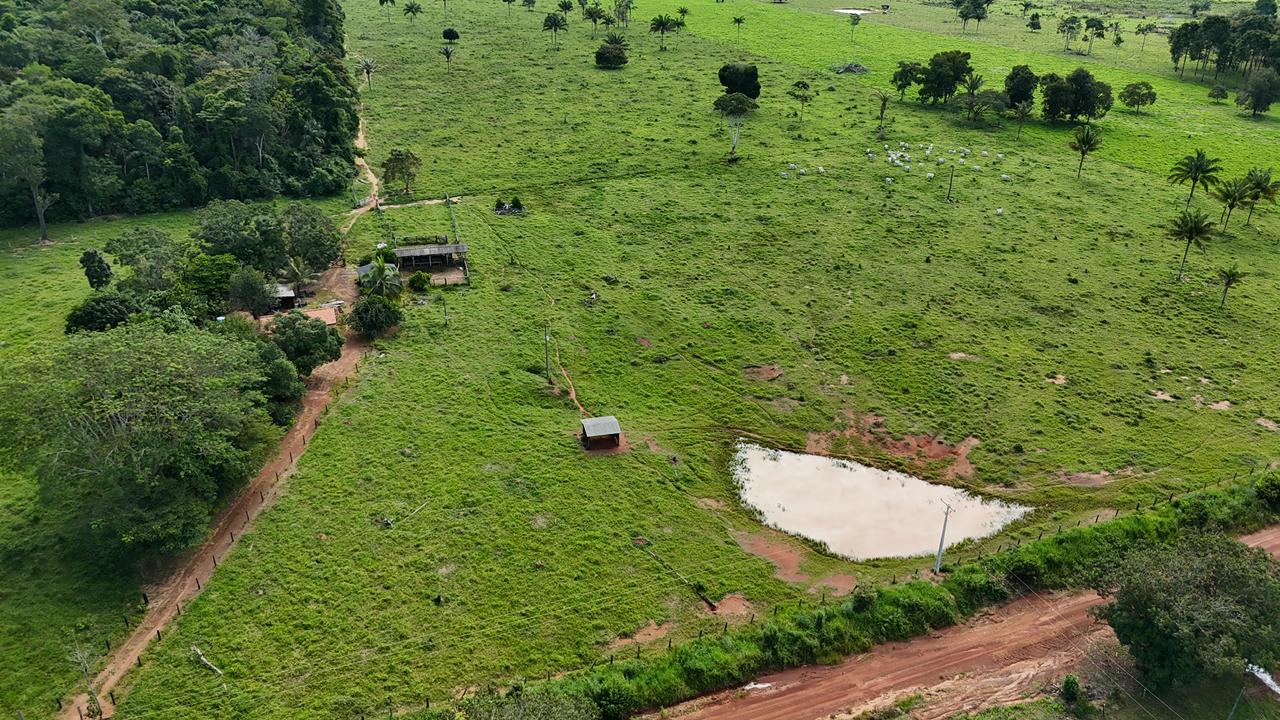 WhatsApp Image 2026-02-17 at 16.39.04 (4)