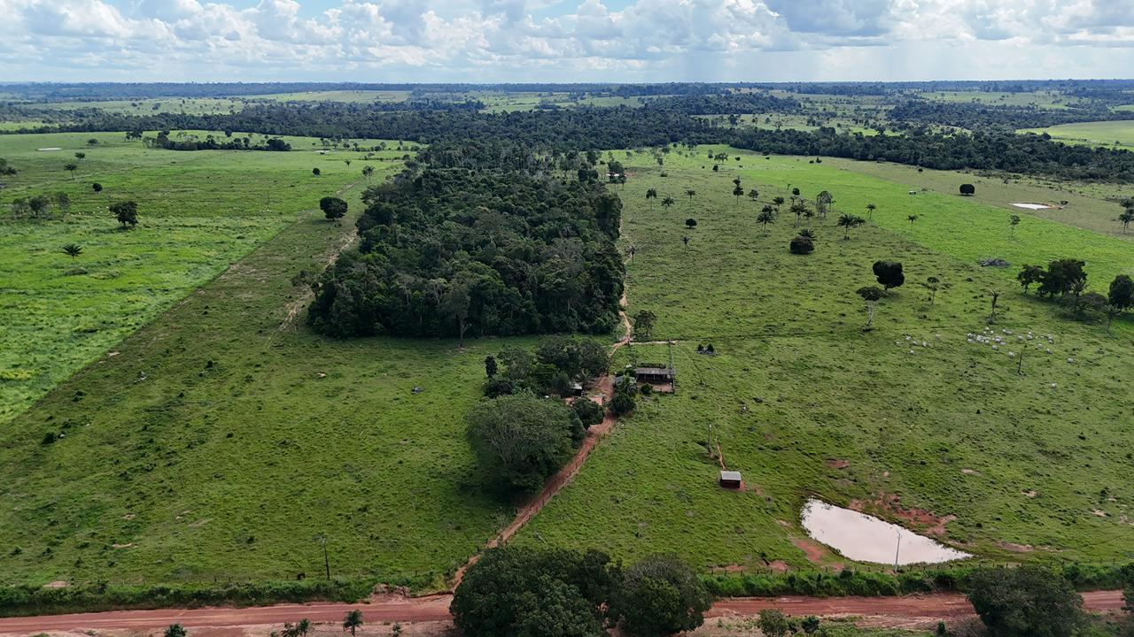 WhatsApp Image 2026-02-17 at 16.39.04