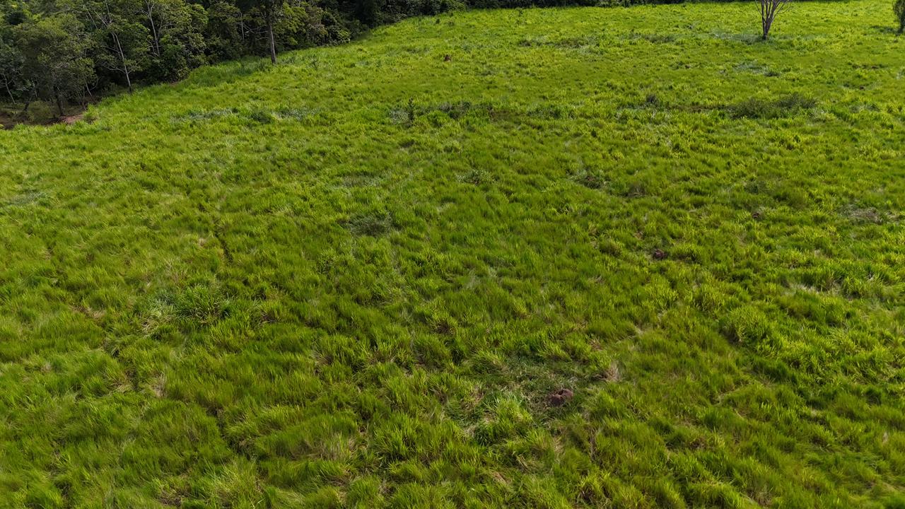 WhatsApp Image 2026-02-17 at 16.39.05 (1)