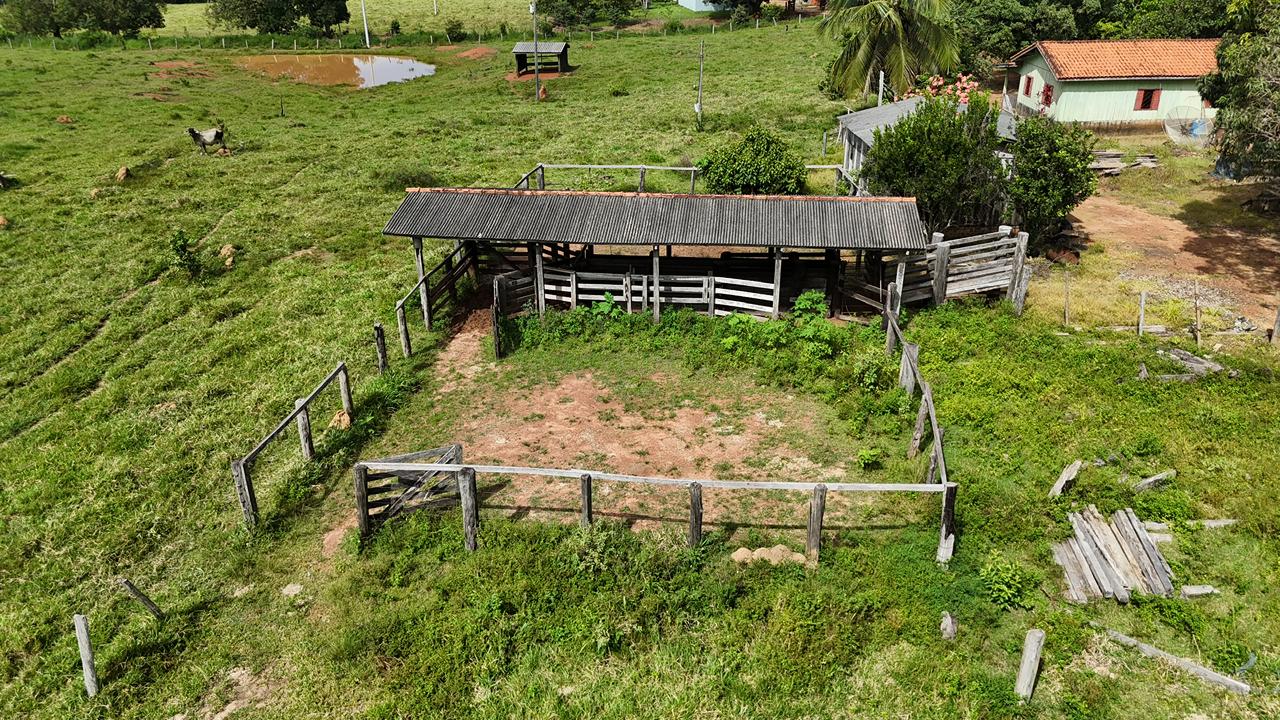 WhatsApp Image 2026-02-17 at 16.39.05 (2)