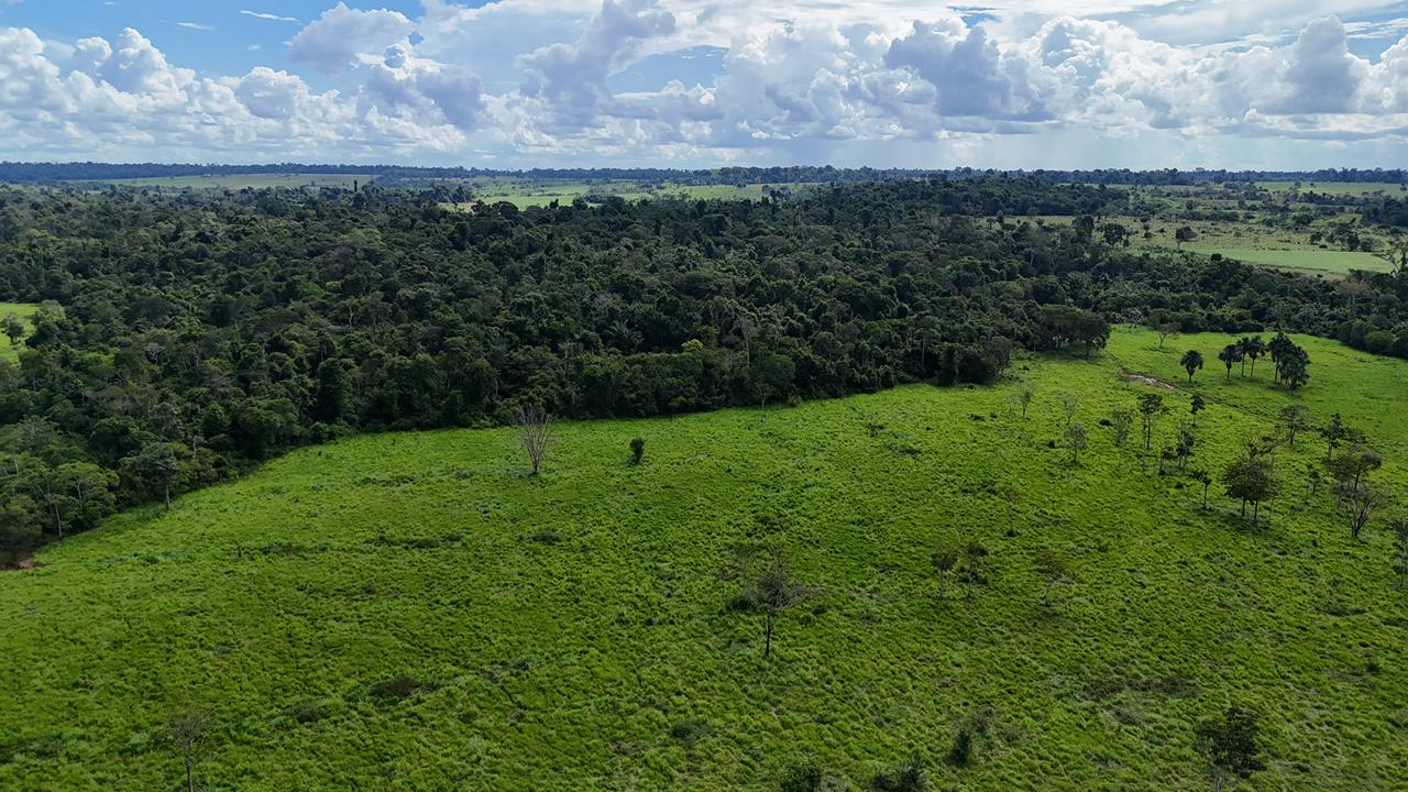 WhatsApp Image 2026-02-17 at 16.39.05 (3)