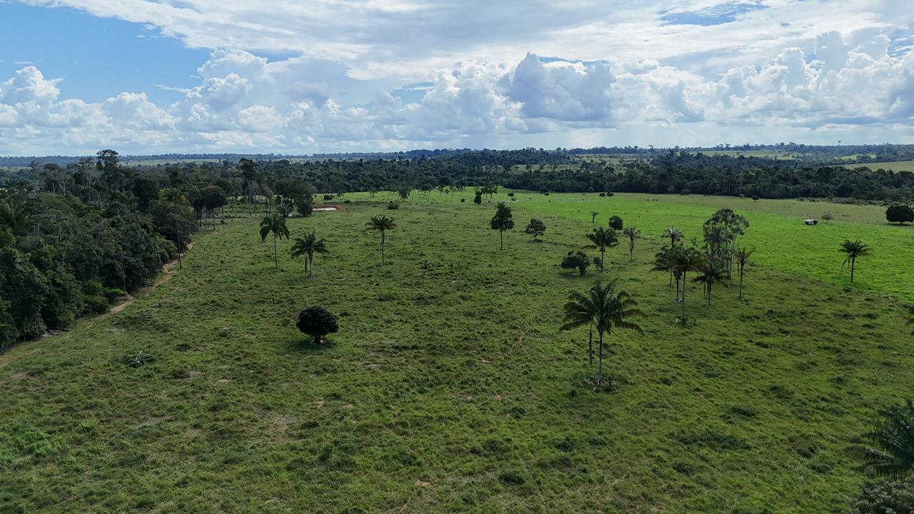 WhatsApp Image 2026-02-17 at 16.39.05 (4)