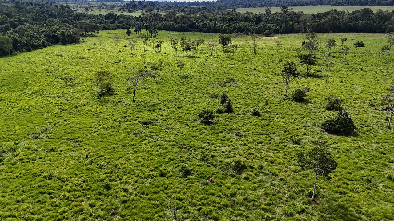 WhatsApp Image 2026-02-17 at 16.39.05