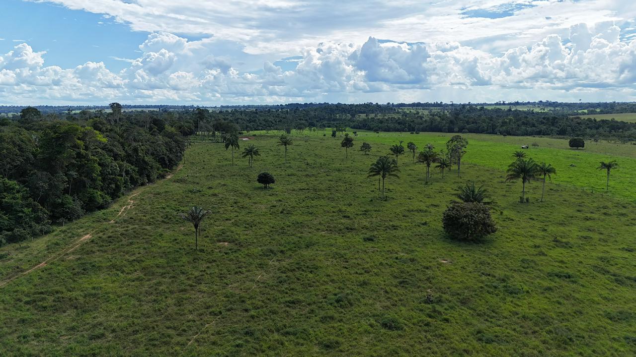 WhatsApp Image 2026-02-17 at 16.39.06 (1)