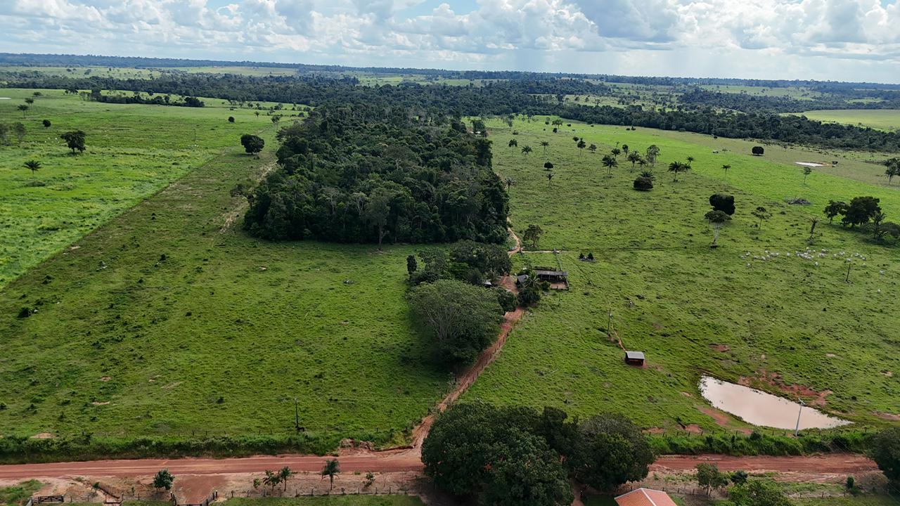 WhatsApp Image 2026-02-17 at 16.39.06 (2)