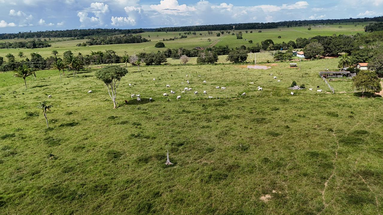 WhatsApp Image 2026-02-17 at 16.39.06 (3)