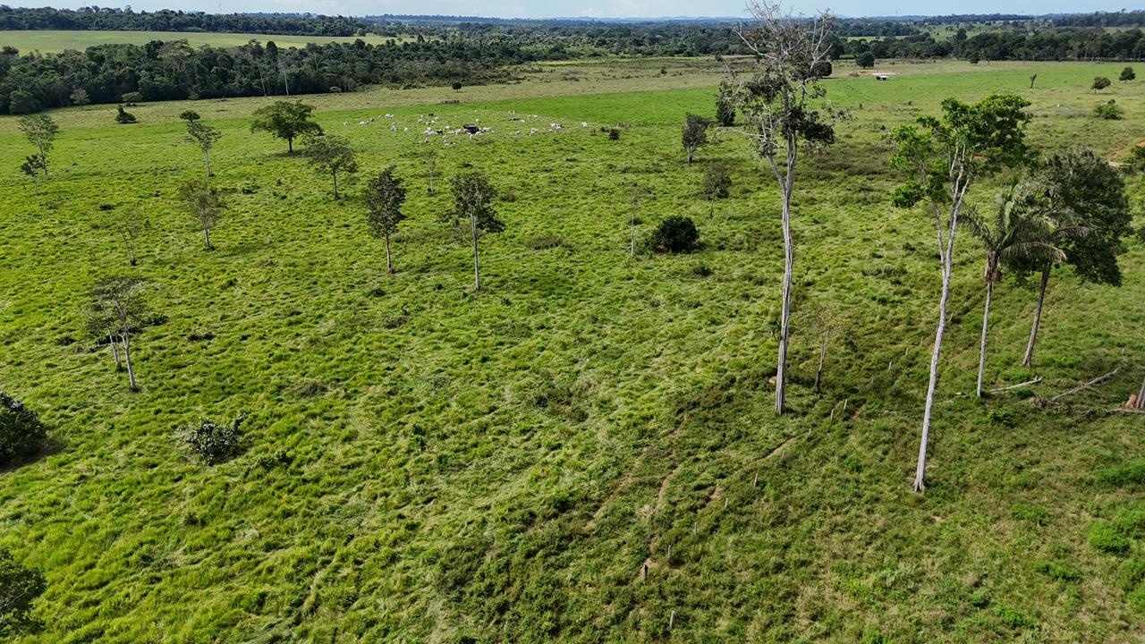 WhatsApp Image 2026-02-17 at 16.39.06 (4)