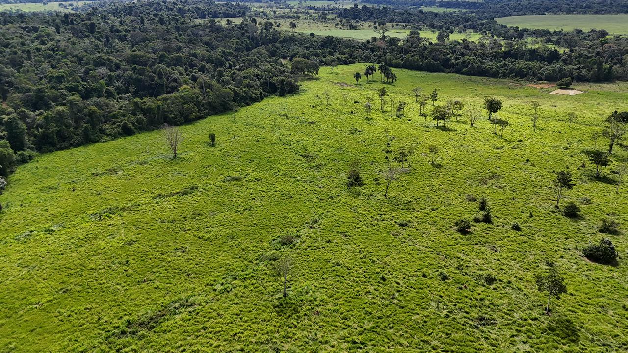 WhatsApp Image 2026-02-17 at 16.39.06