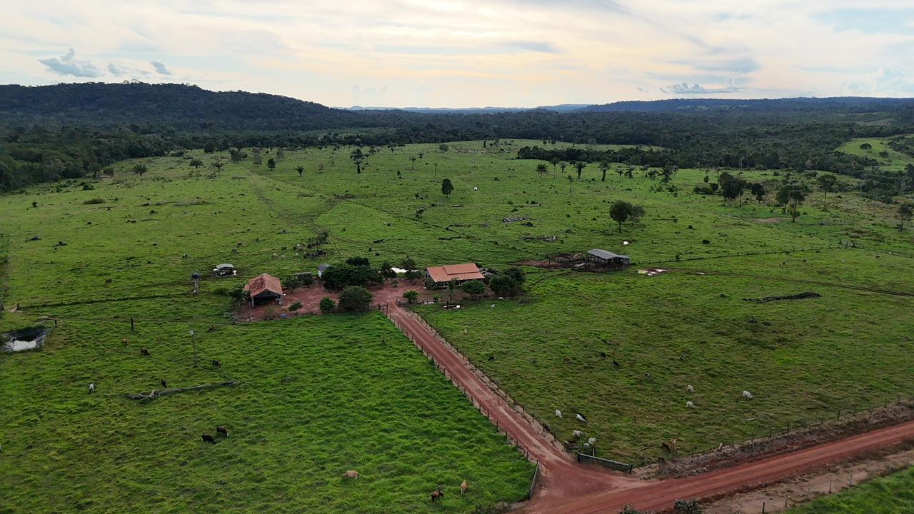 WhatsApp Image 2026-02-17 at 16.49.08 (2)