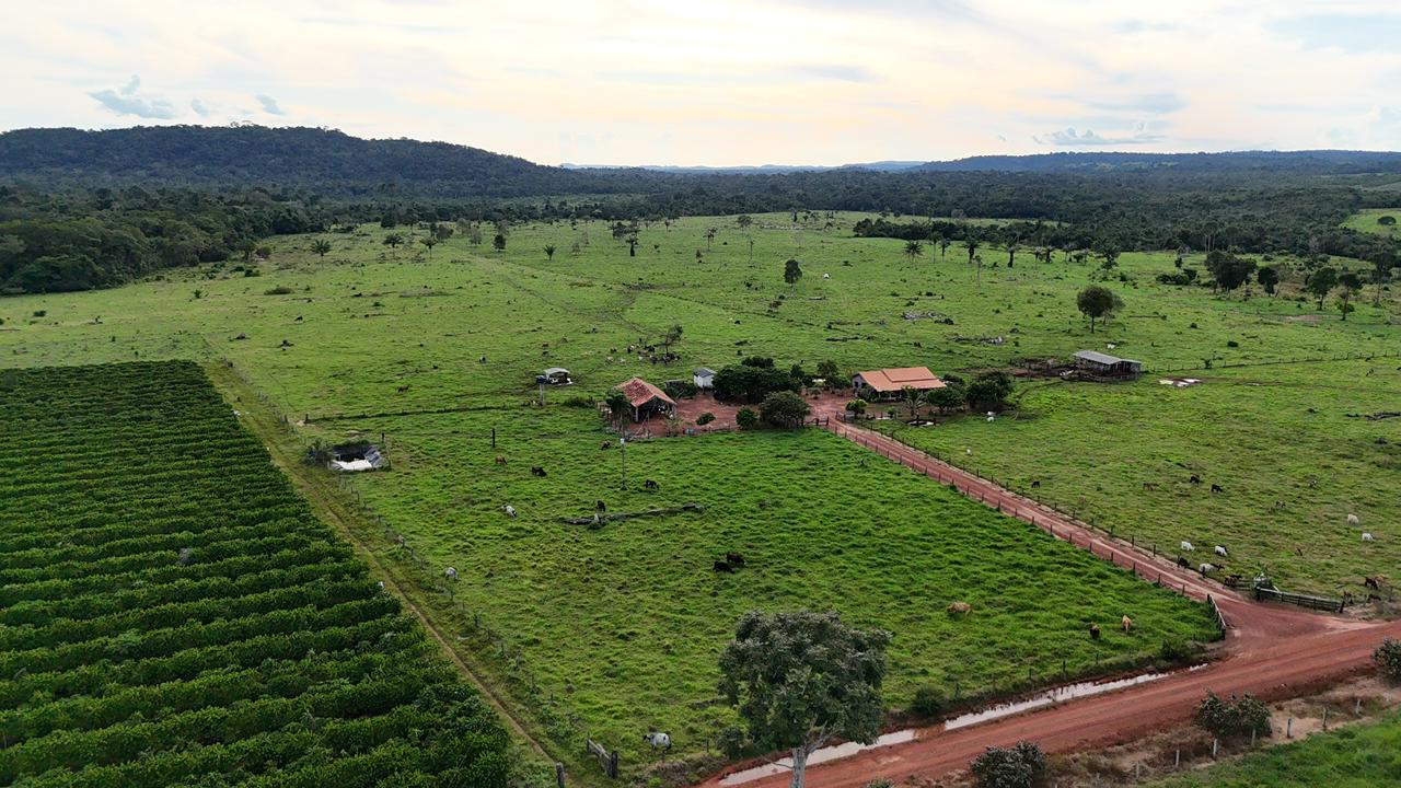 WhatsApp Image 2026-02-17 at 16.49.08