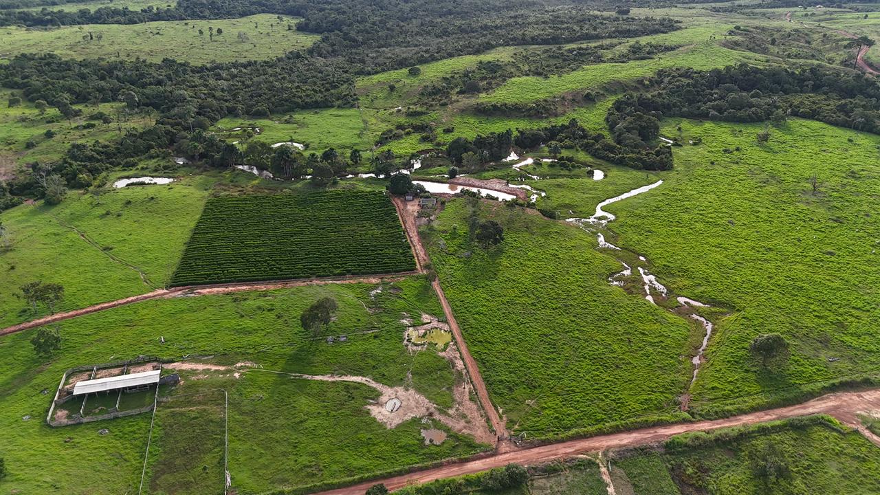 WhatsApp Image 2026-02-17 at 16.49.09 (1)