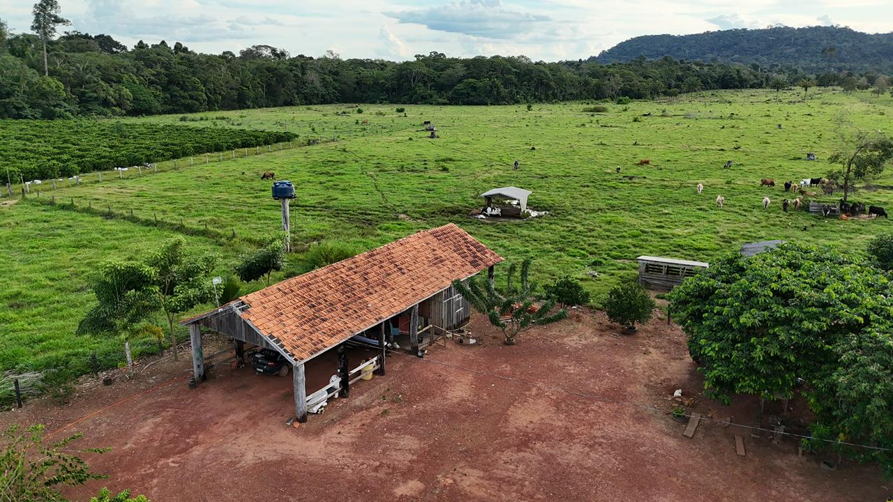 WhatsApp Image 2026-02-17 at 16.49.10 (1)