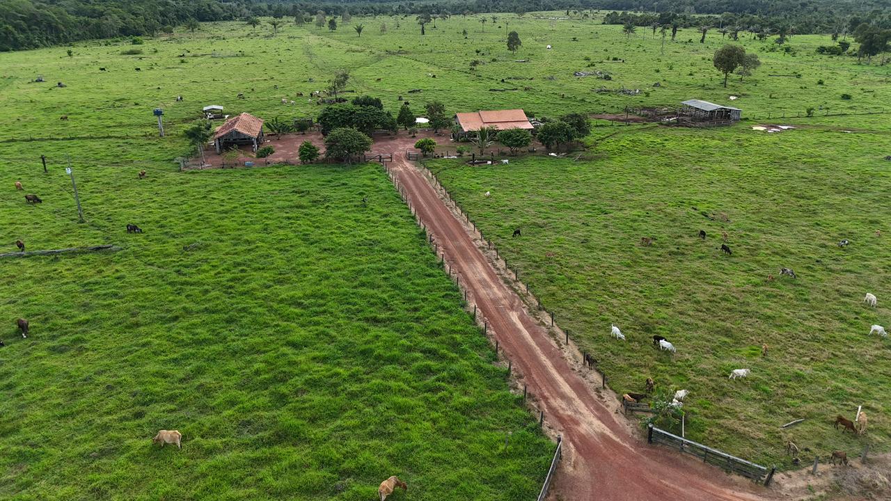 WhatsApp Image 2026-02-17 at 16.49.10