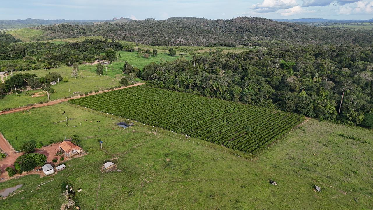 WhatsApp Image 2026-02-17 at 16.49.11 (2)