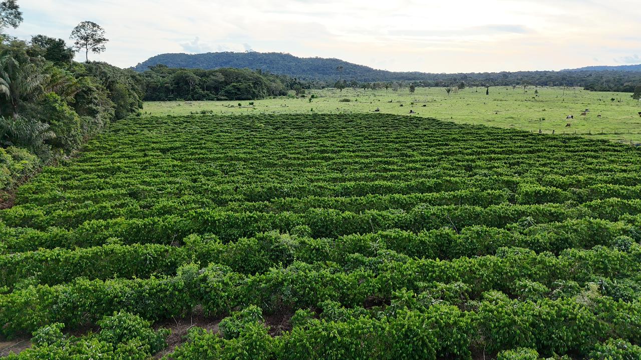 WhatsApp Image 2026-02-17 at 16.49.11 (4)