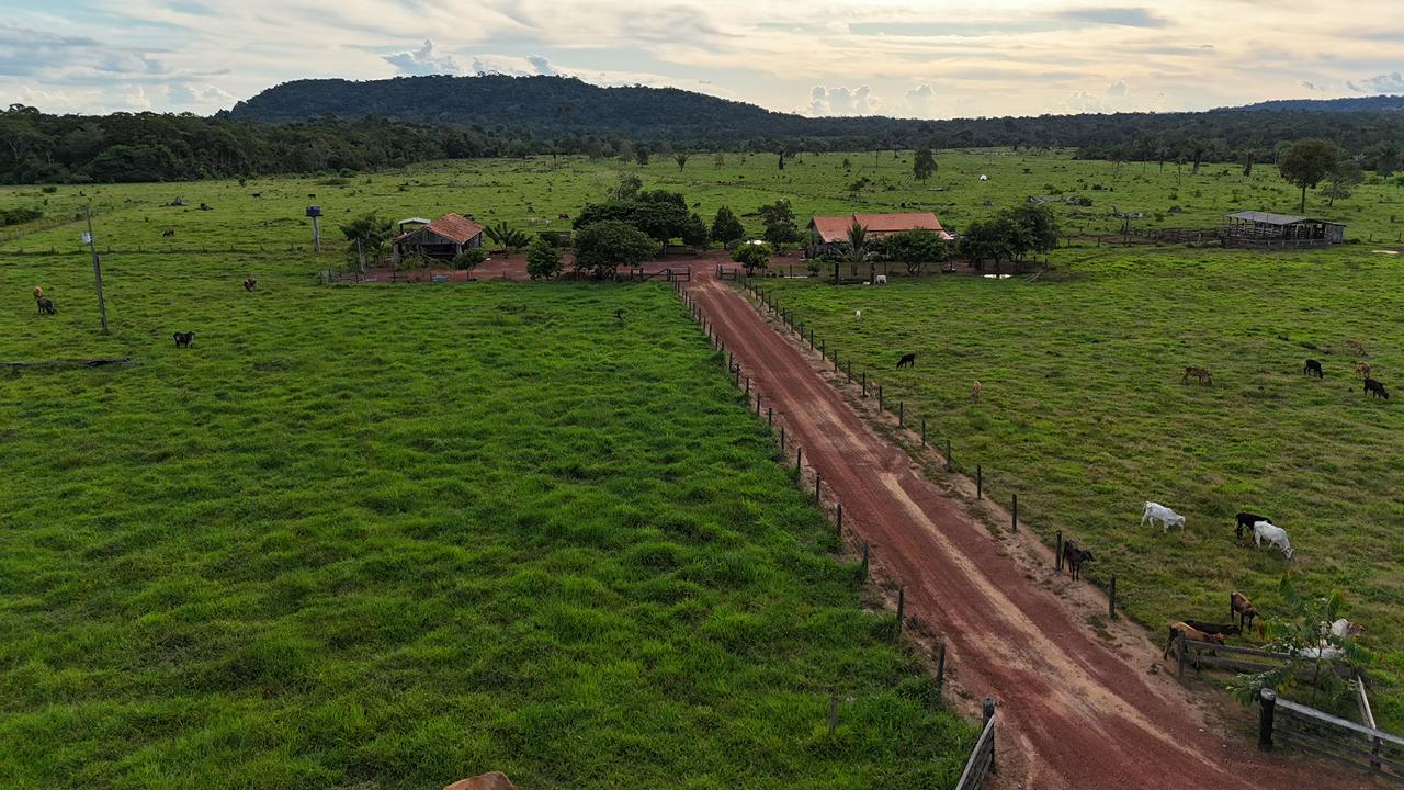 WhatsApp Image 2026-02-17 at 16.49.11