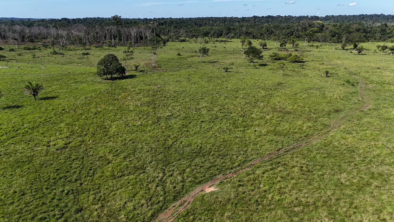 WhatsApp Image 2026-02-17 at 16.49.12 (2)