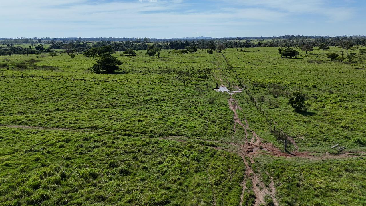 WhatsApp Image 2026-02-17 at 16.49.12