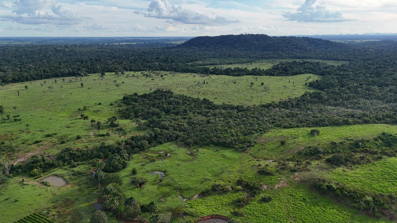 WhatsApp Image 2026-02-17 at 16.49.13 (1)