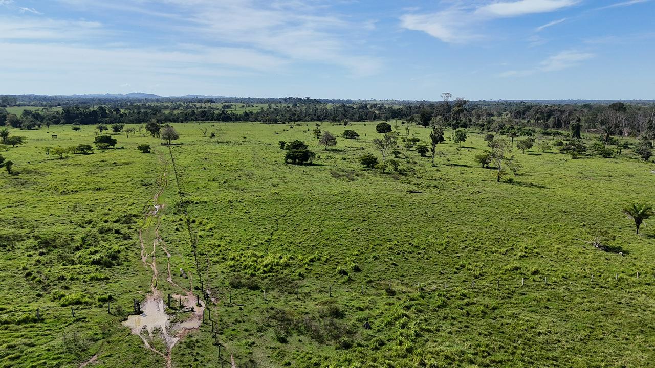 WhatsApp Image 2026-02-17 at 16.49.13 (2)