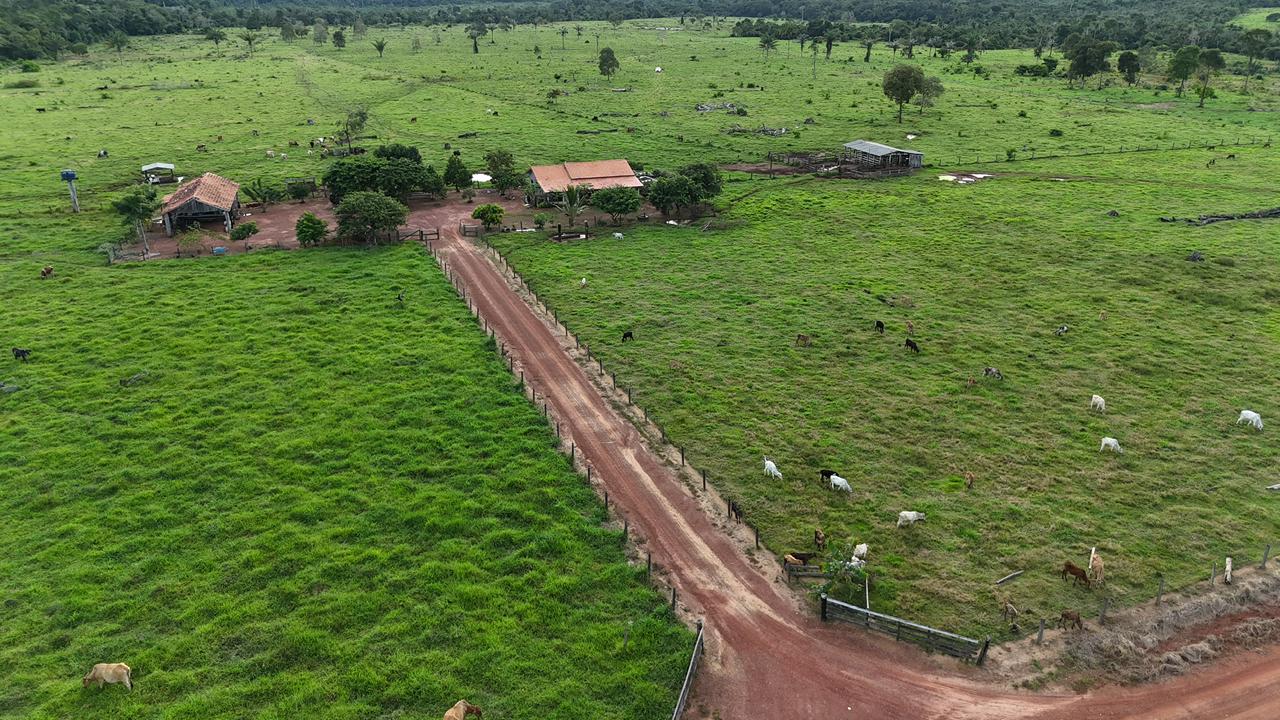 WhatsApp Image 2026-02-17 at 16.49.13 (3)